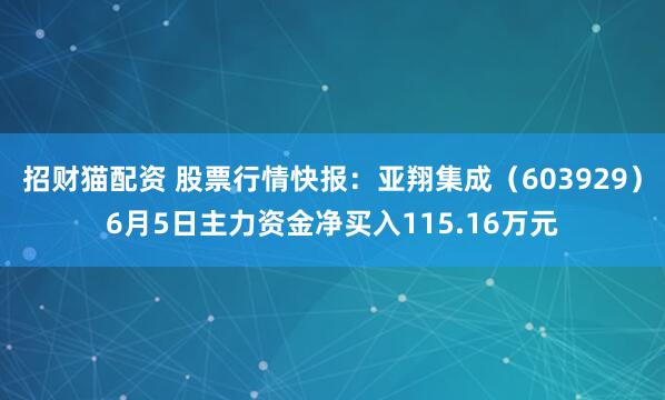 招财猫配资 股票行情快报：亚翔集成（603929）6月5日主力资金净买入115.16万元
