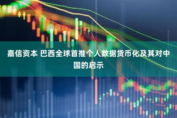 嘉信资本 巴西全球首推个人数据货币化及其对中国的启示