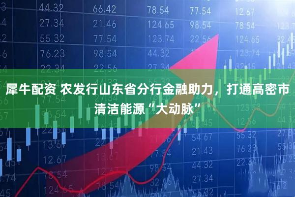 犀牛配资 农发行山东省分行金融助力，打通高密市清洁能源“大动脉”