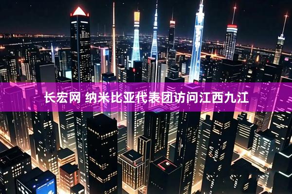 长宏网 纳米比亚代表团访问江西九江