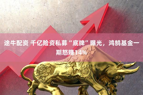 途牛配资 千亿险资私募“底牌”曝光，鸿鹄基金一期怒赚14%