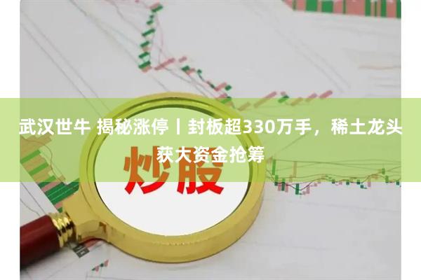 武汉世牛 揭秘涨停丨封板超330万手，稀土龙头获大资金抢筹