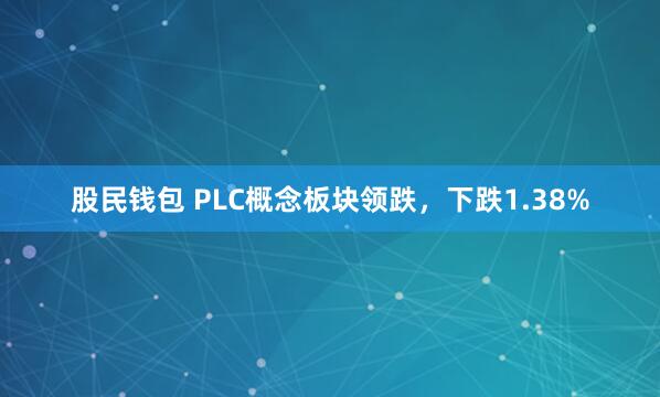 股民钱包 PLC概念板块领跌，下跌1.38%